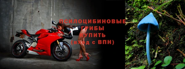 спайс Алексеевка