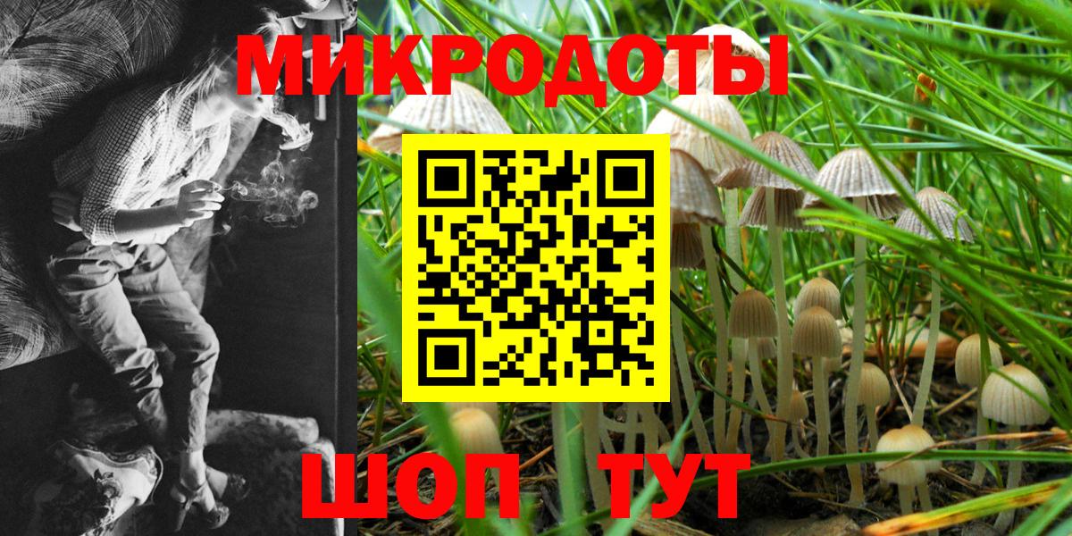 Анжеро-Судженск  Псилоцибиновые грибы мухоморы  Вход с VPN 